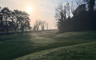 601482552 17859320634560314 3954641316406705840 n