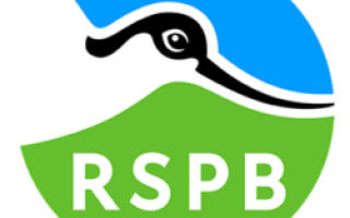 RSPB Logo 2022
