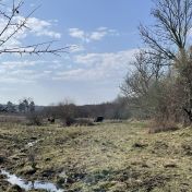 3 NR Tramper route Spring 10 1