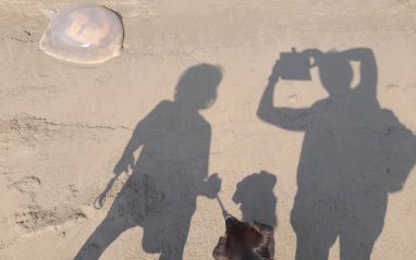 Bay Lines Shadows at Mearness Point near Greenodd Morecambe Bay credit Gina Parker Mullarkey