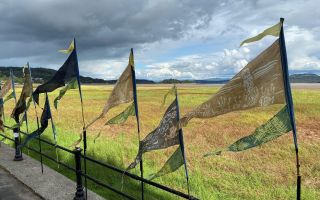 Grange pennants Bay Lines