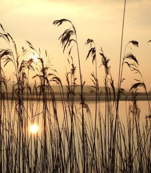 Hello Autumn! Why not check out our article on some great Tramper sites to visit this autumn. Visit some of Morecambe bay's lesser visited spots this Autumn, with free Tramper hire and beautiful autumnal colours. https://www.waysaroundthebay.org.uk/enjoy-your-visit/autumn-tramper-routes #LoveMorecambeBay #waysaroundthebay